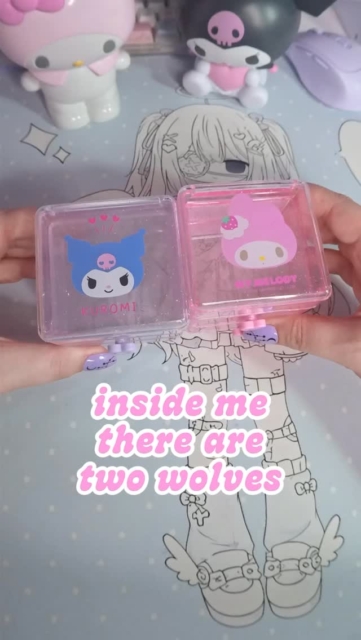 Inside me there are two wolves 🐺🖤🩷 hihihi miniso mini haul, I LOVE Sanrio organizers #sanrio #miniso #kawaiiaesthetic #mymelody #kuromi